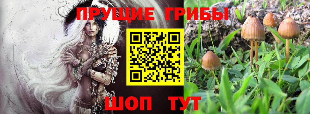 Галлюциногенные грибы прущие грибы Троицк