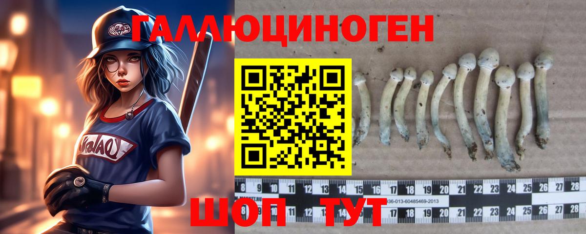 Троицк  Галлюциногенные грибы MAGIC MUSHROOMS  Галлюциногенные грибы Magic Shrooms  Вход с VPN 